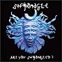 Are You Shpongled?