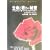 �����ƎႳ�̔閧�\�}���O���b�g�E���[���[�̃A���}�e���s�[