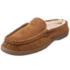 ACORN Rangely Mule Mule