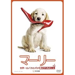 �}�[���[�@���E�ꂨ�o�J�Ȍ��������Ă��ꂽ���� (���ʕ�) [DVD]