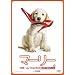 �}�[���[�@���E�ꂨ�o�J�Ȍ��������Ă��ꂽ���� (���ʕ�) [DVD]