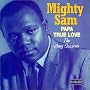 Papa True Love: The Amy Sessions