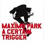 A Certain Trigger