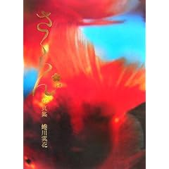 �������ʐ^�W