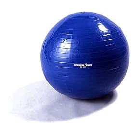 ALINCO(�A���C���R) �G�N�T�T�C�Y�{�[�� EX-017 65cm