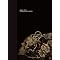 BUCK-TICK�@���C�uDVD�wmemento mori 090702�x