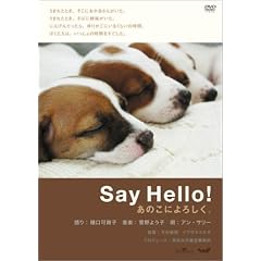 Say Hello! ���̂��ɂ�낵���B [DVD]