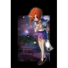 �Ђ��炵�̂Ȃ����� ��4�� �������� [DVD]
