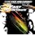 More Music from The Fast and the Furious