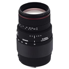�V�O�} 70-300mm F4-5.6 APO DG MACRO �L���m���p
