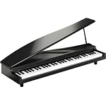 KORG microPIANO