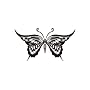 �Չ��ρ@M092�@����-�Q�i8.7cm x 5cm�j