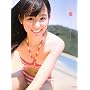 ���ސF 4�]seasons�]�\���r���ގʐ^�W