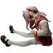 ToHeart2 �܁[���� DVD�W���P�b�g�o�[�W����(1/6�X�P�[��PVC�h���ς݊����i)