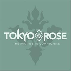 The Promise in Compromise