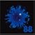 88(��������B)(DVD�t)