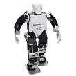 Robovie-X
