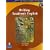 Writing Academic English (The Longman Academic Writing Series, Level 4) (4th Edition)
