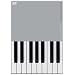 PLAYING THE PIANO/05 [DVD]