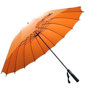 Ray 16�{���P 2007 �I�����W