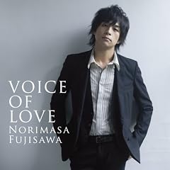 VOICE OF LOVE ~���̗�~(DVD�t)