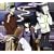 xxxHOLIC �T�E���h�E�t�@�C��
