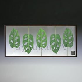 F-style ���[�t�p�l���EMonstera friedrichsthalii �����X�e�����[�h���q�X�^�[���@5���@570x1375x30mm