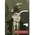 ���X�g�����e�E�p���f�B�[�] 3 [��������] [DVD]