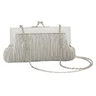 La Regale Mini Pleated Clutch