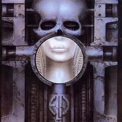 Brain Salad Surgery