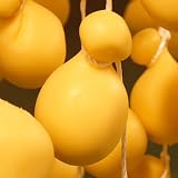 �����Ǥ������祫�Х���
