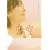 �� �� �v���~�A���E�G�f�B�V����(2���g) [DVD]
