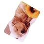 �X�L�~���O�h�~�J�[�h �� SGD-001