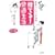 �u�̂Ă�!�v���K�����\�����X�b�L���̖@�� (�m�I�����������Ɂ\�킽���̎��ԃV���[�Y)