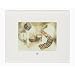 Polaroid �f�W�^���t�H�g�t���[��5.6�C���` IDJ-0560