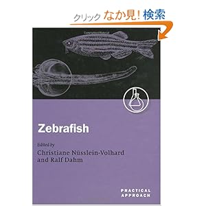 【クリックでお店のこの商品のページへ】Zebrafish: A Practical Approach (The Practical Approach Series, 261): Christiane Nusslein-Volhard, Ralf Dahm: 洋書
