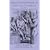 Tarascon Internal Medicine & Critical Care Pocketbook (Whinshall, Tarascon Internal Medicine & Critical Care)