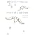 �\�E�����C�g�Əo����@�\�^���̐l�̓z���X�R�[�v�������Ă����