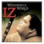 Wonderful World