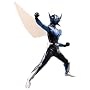 Real Action Heroes �E�C���O�}�� Ver.2.0 DX TYPE