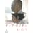 �f�B�A�E�h�N�^�[ [DVD]