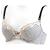 �s�W���� ���[�V�[�h�b�g �}�^�j�e�B �u���W���[ E80 �O���[ 6110021