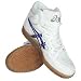 �A�V�b�N�X�iasics�j �X�J�C�n���h�W���p��PRO-L �u���[�E���b�h�@�A�V�b�N�X �n���h�{�[���V���[�Y