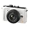 LUMIX GF1