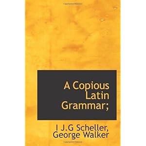 【クリックで詳細表示】A Copious Latin Grammar； [ペーパーバック]