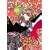 �w�Z���o�悤! (6) VAMPIRE SYNDROME �d������ (0996)