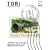TORi(�g��) / Vol.1 �C���@�i�E�t�B�������h!