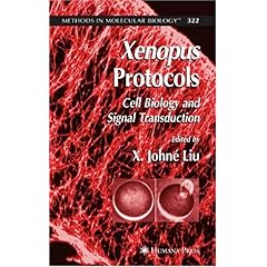 【クリックで詳細表示】Xenopus Protocols (Methods in Molecular Biology) [ハードカバー]