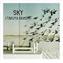 SKY(���񐶎Y�����)(DVD�t)