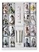 FINAL FANTASY XIII ELIXIR PREMIUM COMPLETE BOX ���ϔ��~1���Z�b�g(�G���N�T�[16��+�^���u���[+�v���[�g)  